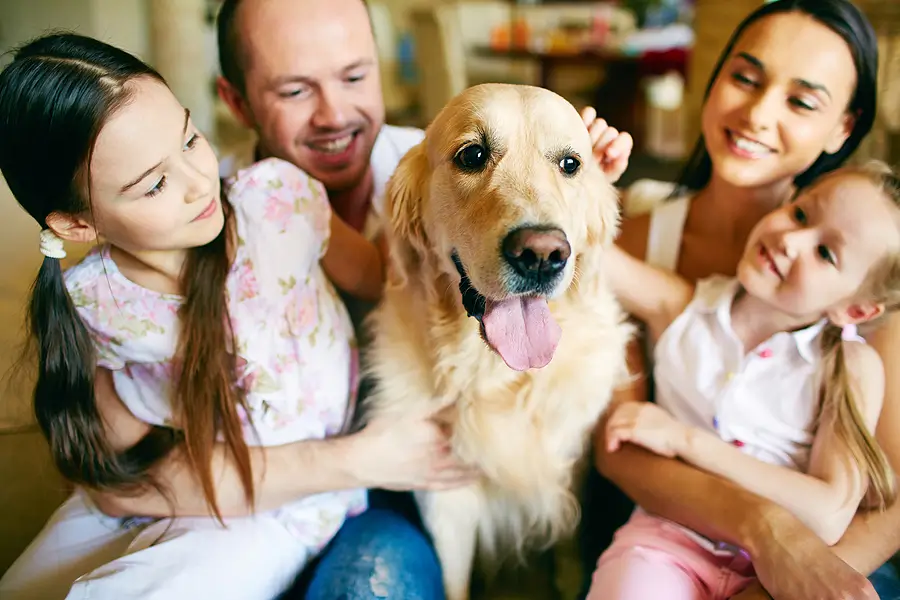 Smart Landlord Tips for Managing Pet-Friendly Rentals in Phoenix